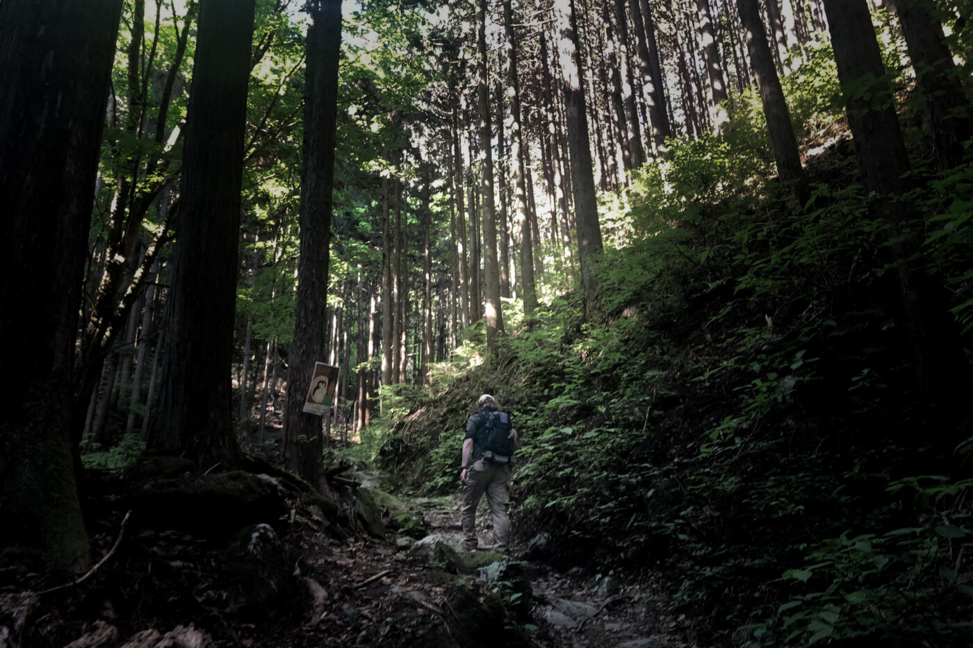 春の登山「浅間嶺」