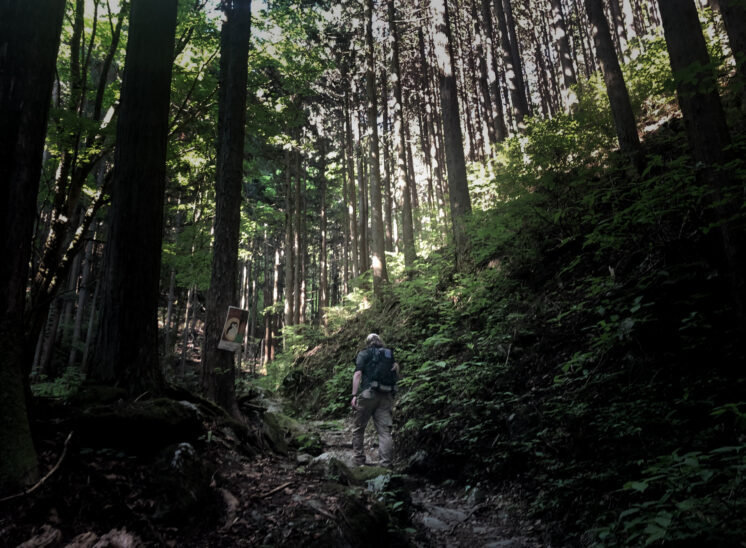 春の登山「浅間嶺」