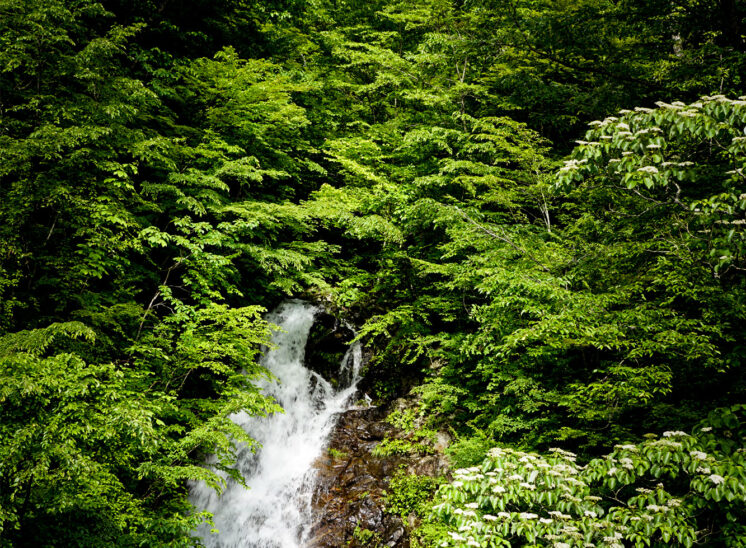 奥多摩ハイカーを目指して「三頭山」