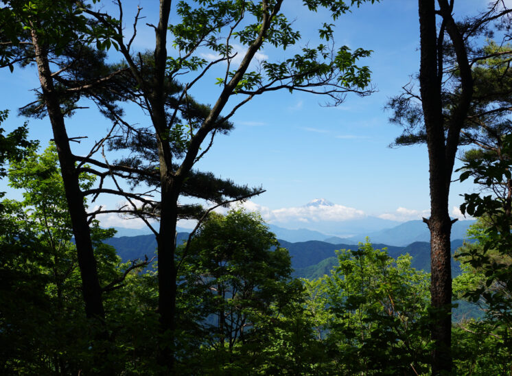 奥多摩ハイカーを目指して「三頭山」