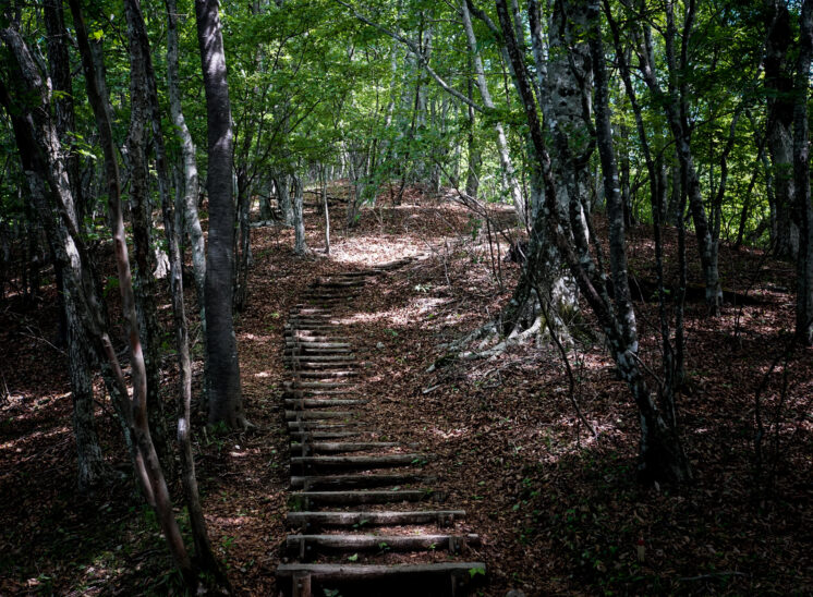 奥多摩ハイカーを目指して「三頭山」