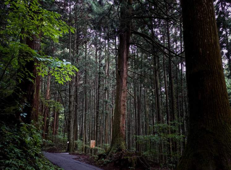 奥多摩ハイカーを目指して「御岳山」「大岳山」