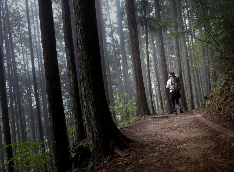 奥多摩ハイカーを目指して「御岳山」「大岳山」