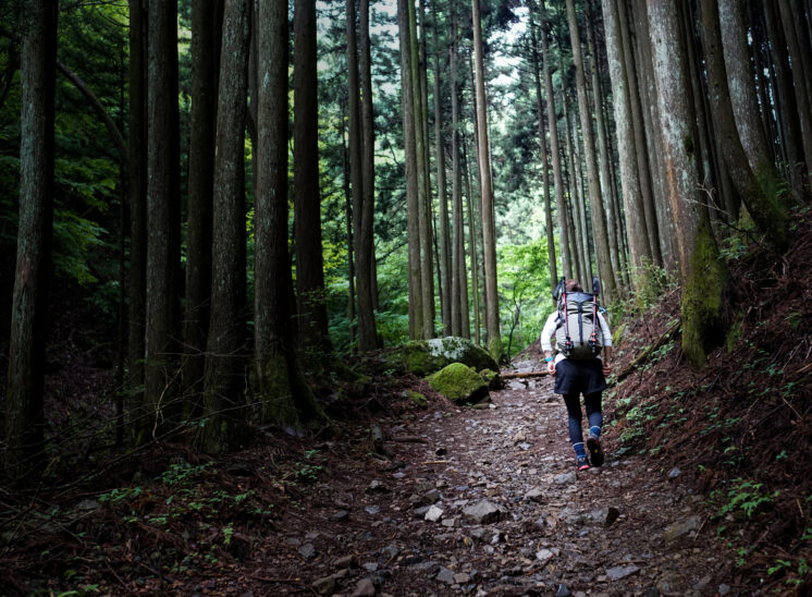 奥多摩ハイカーを目指して「御岳山」「大岳山」