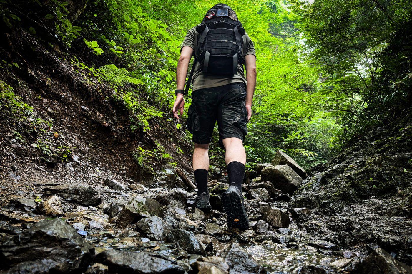 ALTRA OLYMPUS 6 HIKE LOW GTX