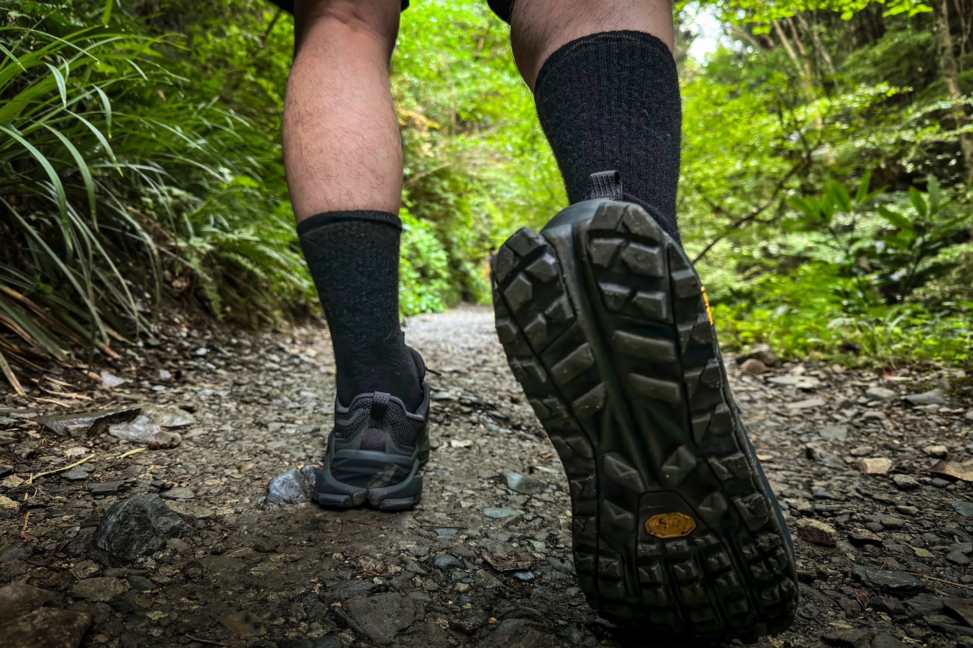 ALTRA OLYMPUS 6 HIKE LOW GTX