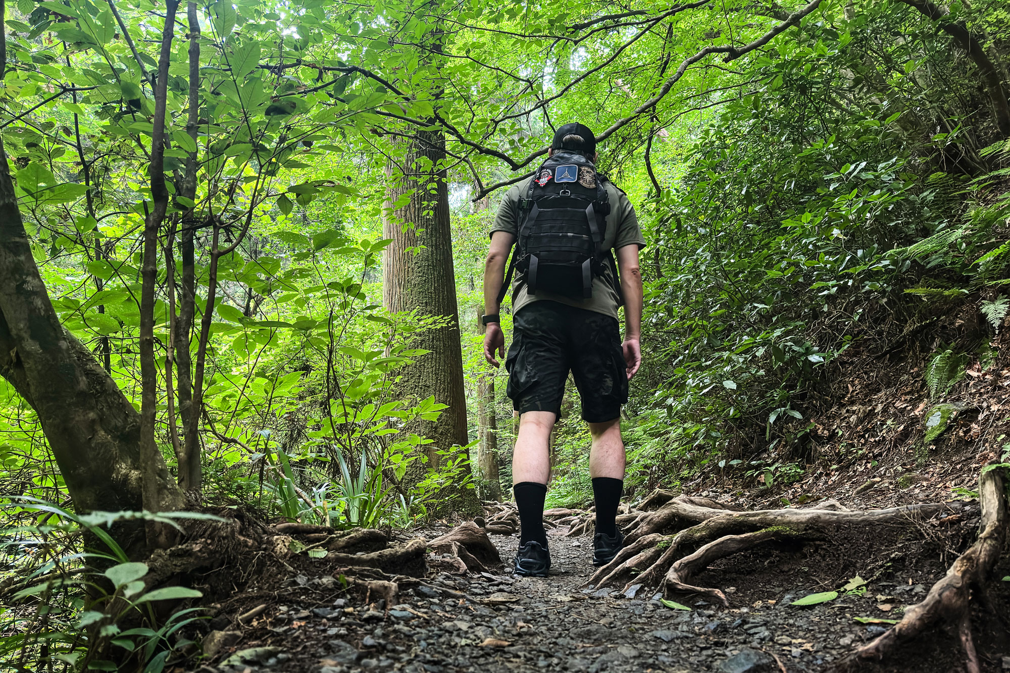 ALTRA OLYMPUS 6 HIKE LOW GTX